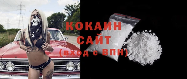 бошки Белокуриха