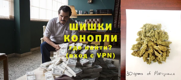 бошки Белокуриха