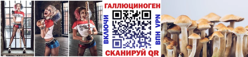 Галлюциногенные грибы Psilocybe  Воскресенск 